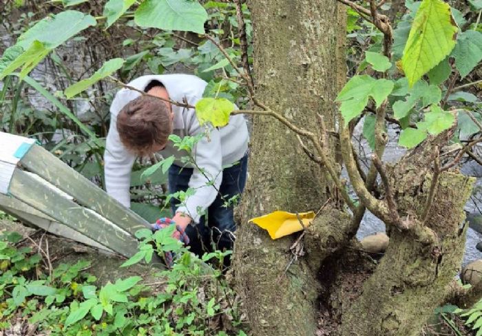 黑狗受困湍急溪流，八里動物之家即刻救援守護生命